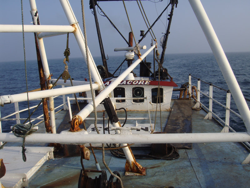 Fishing trawler Albacore N303