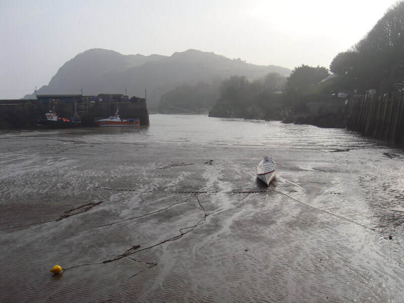 Ilfracombe harbour at low tide